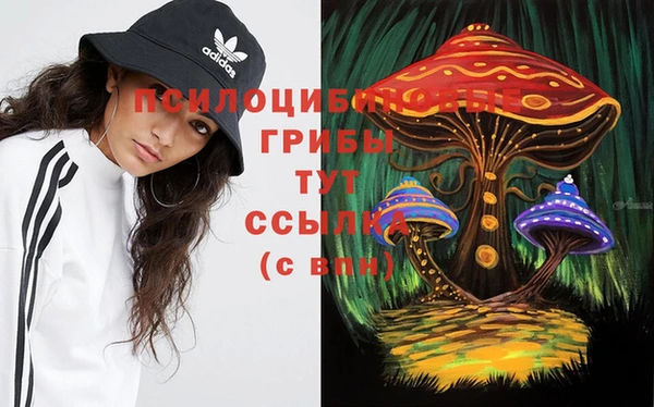 тгк Арсеньев