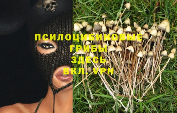 дурь Армянск