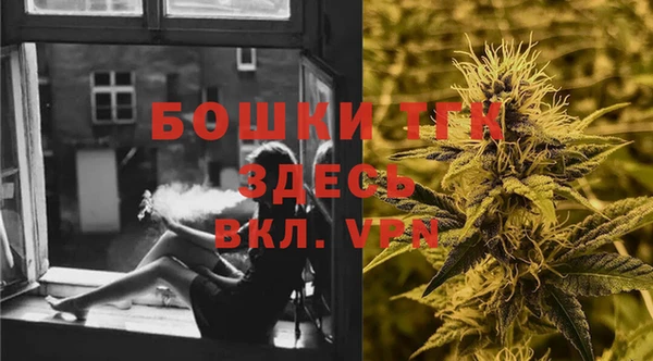 тгк Арсеньев
